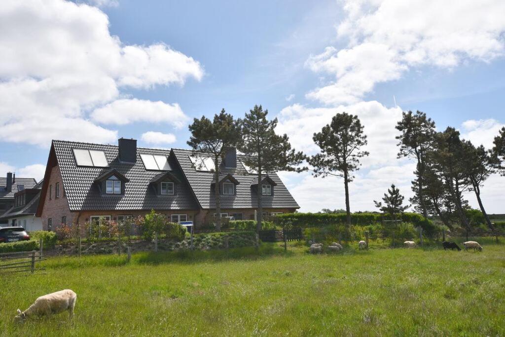 Alte Dorfstrasse 20 * Rantum (Sylt)